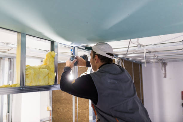 Best Insulation for Specific Applications in High Springs, FL