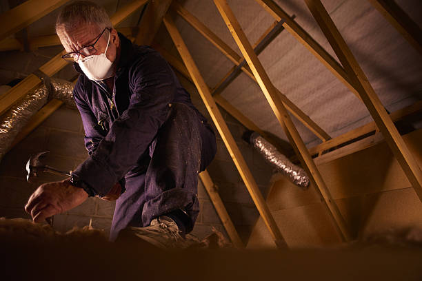 Best Specialty Insulation in High Springs, FL